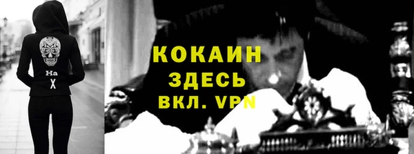 соль ск Алексин